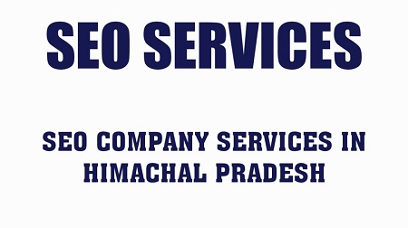 SEO Company in Himachal Pradesh
