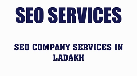 SEO Company in Ladakh