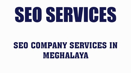 SEO Company in Meghalaya