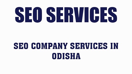 SEO Company in Odisha