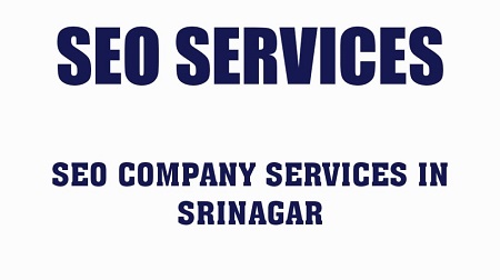 SEO Company in Srinagar